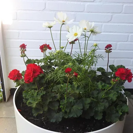 شقة Hohes-ufer-20-ostseeluft *